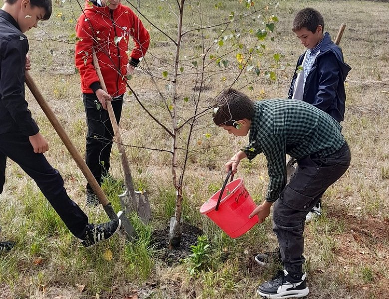 В рамках акции "Сохраним лес" учащиеся 6 класса, класса казачьей направленности, высадили берёзы в школьном саду.